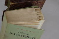 L'Enfant d'Austerlitz. Le Temps et la Vie.  [Édition originale]