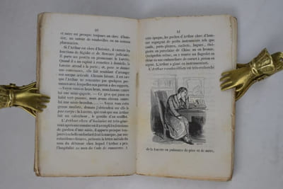 Physiologie de la Lorette. Vignettes de Gavarny.