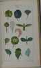 Le&ccedil;ons de Flore. Cours complet de Botanique - Explication de tous les syst&egrave;mes, introduction &agrave; l'&eacute;tude des plantes Par J. L. M. Poiret - Continuateur ...