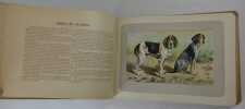 Les chiens le gibier et ses ennemis.. [SAMAT, J-B ; P. MAHLER (illustrations)].