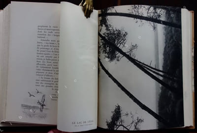 En chassant des Landes aux Pyrénées. Suivi de deux études de chasses locales par H. Botet de Lacaze et H. de Saint-Blanquat