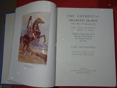 The Authentic Arabian Horse and his descendants. Three Voices Concerning the Horses of Arabia, Tradition (Jejd, Inner East) - Romantic Fable (Islam) - The Outside World of the West