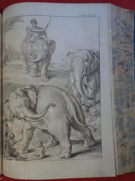 Costume des anciens peuples, à l'usage des artistes, par M. Dandré Bardon ; contenant Les Usages religieux, civils, domestiques & militaires des ...