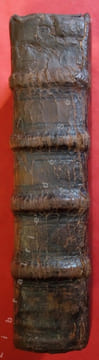 De sanctorum martyrum cruciatibus, liber, quo potissimum instrumenta et modi quibus iidem Christi martyres olim torquebantur, accuratissime tabellis ...