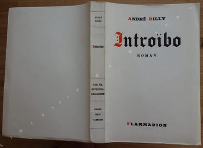 Introïbo. Roman