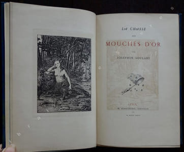 La chasse aux mouches d'or