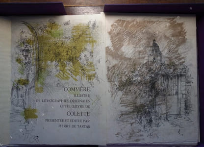 Pour un herbier