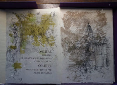 Pour un herbier