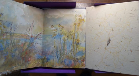 Pour un herbier