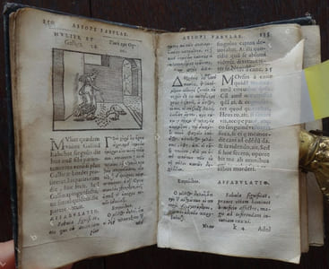 Aesopi Phrygis Fabulae elegantissimis eiconibus veras animalium species ad vivuum adumbrantes. Gabriae Graeci fabellae XXXXIIII. Batrachomyomachia Homeri, hoc est ranarum et murium pugna. Galeomyomachia, hoc est, felium et murium pugna, tragoedia Graeca. Haec omnia cum Latina interpretatione