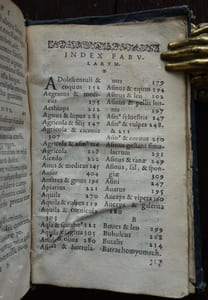 Aesopi Phrygis Fabulae elegantissimis eiconibus veras animalium species ad vivuum adumbrantes. Gabriae Graeci fabellae XXXXIIII. Batrachomyomachia Homeri, hoc est ranarum et murium pugna. Galeomyomachia, hoc est, felium et murium pugna, tragoedia Graeca. Haec omnia cum Latina interpretatione