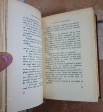 Le livre des vikings d'après les anciennes sagas. GUYOT (Ch.) , WEGENER (E.)