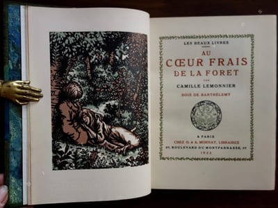 Au coeur frais de la forêt