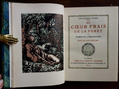 Au coeur frais de la forêt. LEMONNIER (Camille)