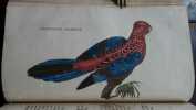 The natural history of birds ; from the works of Oliver Goldsmith, and all the best authors, antient & modern (...). GOLDSMITH (Oliver)