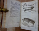 Manuel des amphitryons. Contenant un trait&eacute; de la dissection des viandes &agrave; table, la Nomenclature des Menus les plus nouveaux pour chaque saison, et ...