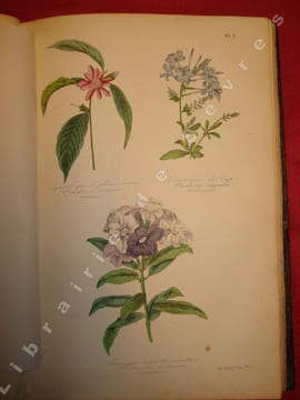 Botanique, organographie et taxonomie. Histoire naturelle des familles végétales et des principales espèces, suivant la classification de M. Adrien de ...