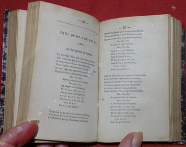 La Goguette ancienne et moderne. Choix de chansons nationales,guerrières, bachiques, philosophiques, joyeuses et populaires