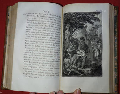 Voyage à la Nouvelle Galles du Sud, à Botany-Bay, au port Jackson, en 1787, 1788, 1789 (...) Traduit de l'anglais, avec des notes critiques et philosophiques sur l'histoire naturelle et les moeurs par Charles Pougens