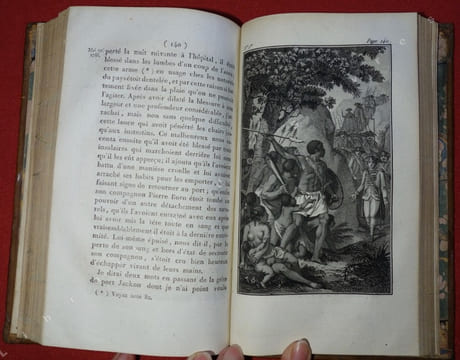 Voyage à la Nouvelle Galles du Sud, à Botany-Bay, au port Jackson, en 1787, 1788, 1789 (...) Traduit de l'anglais, avec des notes critiques et ...