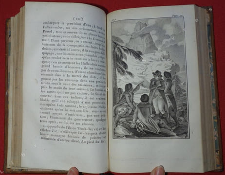 Voyage à la Nouvelle Galles du Sud, à Botany-Bay, au port Jackson, en 1787, 1788, 1789 (...) Traduit de l'anglais, avec des notes critiques et ...