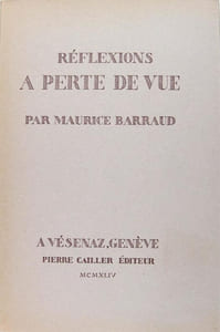 Réflexions à perte de vue