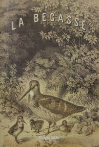 La bécasse.