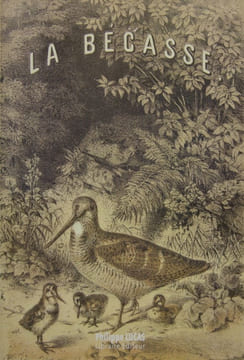La bécasse.. HOFFMANN J. Dr