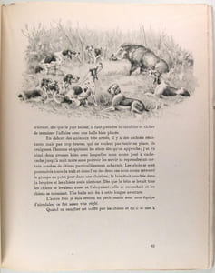 Animaux de vénerie et chasse aux chiens courants
