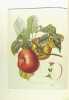 La Pomme - Histoire, symbolique & cuisine. Collectif. (H.Wasserman, M.Pastoureau...)