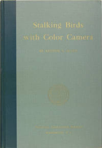 Stalking birds with color camera