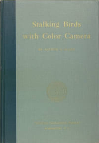 Stalking birds with color camera