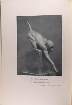 Anna Hyatt Huttington and the Hindu People. SCHAUB KOCH Emile