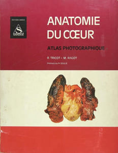 Anatomie du coeur - atlas photographique
