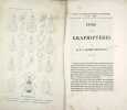 Étude sur les Graphiptères. GUERIN MENEVILLE F.E. (Félix Edouard)