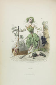 Les fleurs animées.