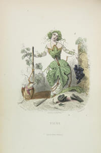 Les fleurs animées.