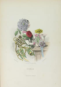 Les fleurs animées.