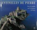 Sentinelle de pierre : forts & citadelles sur les frontières de France. Collectif