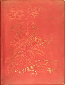 La conquête du Tchad - Journal de route d'un des membres des deux Missions Emile Gentil (1893-1900)