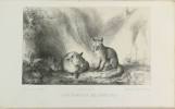 Journal des chasseurs,  1843 - 1844 (8è volume). (REVUE)