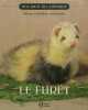 Le furet. TREMBLAY Manon