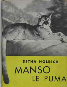 Manso le puma. Holesch Ditha