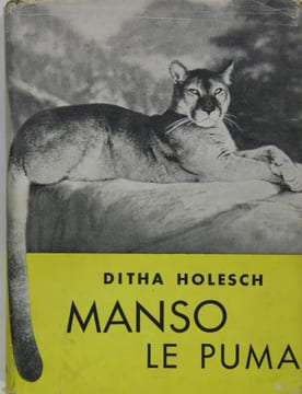 Manso le puma. Holesch Ditha