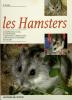 Les Hamsters. AVANZI M.