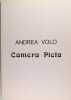 Andrea Volo - Camera Picta. VOLO Andrea
