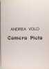 Andrea Volo - Camera Picta. VOLO Andrea