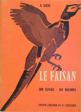 Le faisan. LUCAS A.