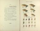 L’art de la pêche de la truite et du saumon à la mouche artificielle. SHAW Frederick George