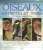 Oiseaux entre ciel et terre. DEJONGHE Jean François